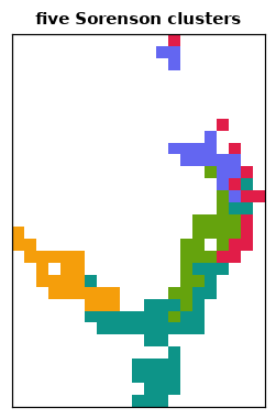 The cells in five clusters