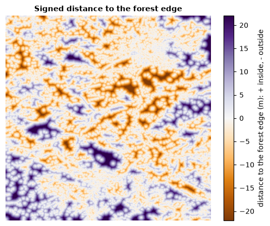 Signed distance to the forest edge