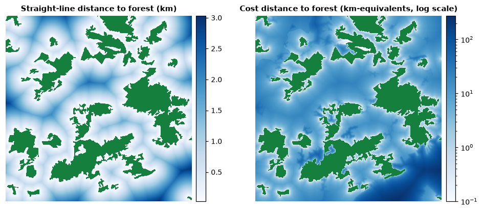 Straight-line and cost distance to the nearest forest