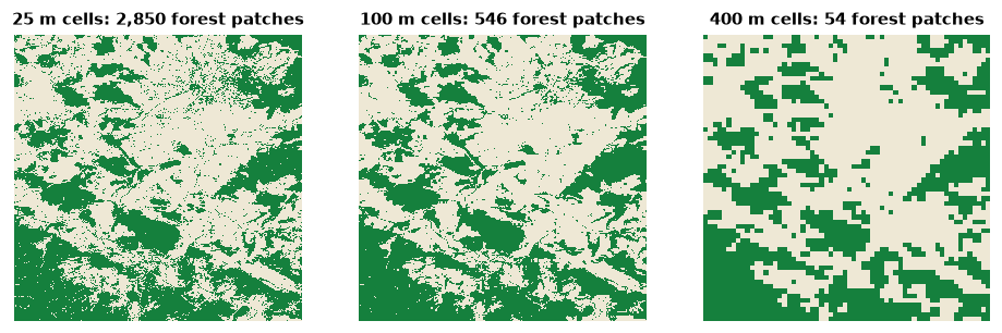 The same forest at grains of 25, 100 and 400 m