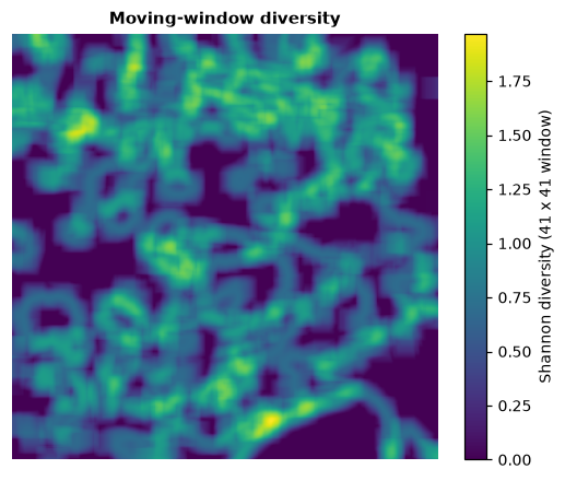 Shannon diversity in a 41 × 41 window