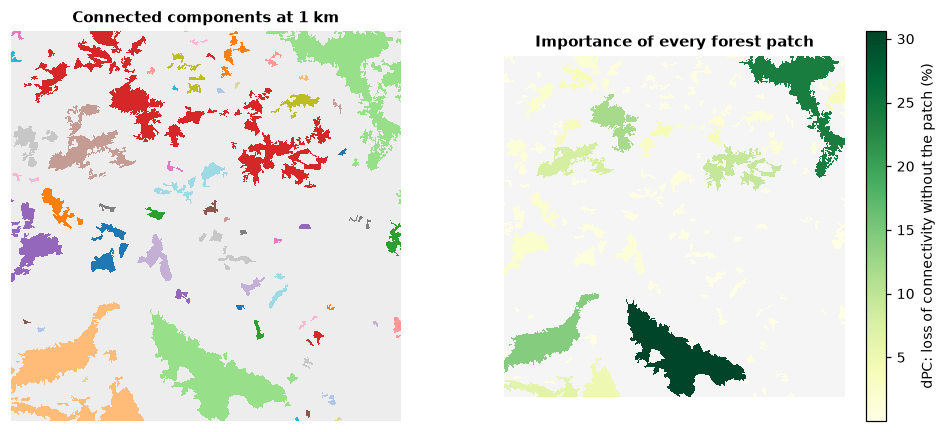 Components at 1 km and the importance of every patch