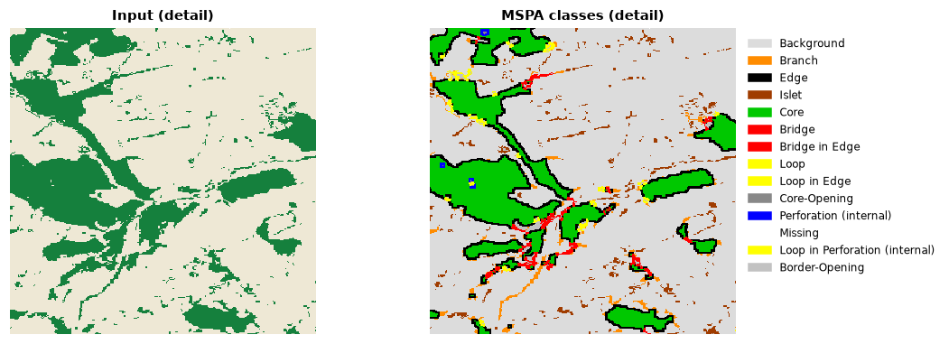 MSPA classes