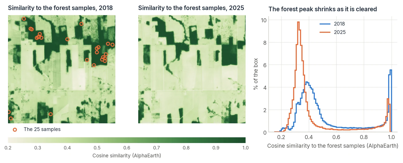 Cosine similarity to 25 forest samples in 2018 and 2025, and the distribution of similarity in both years