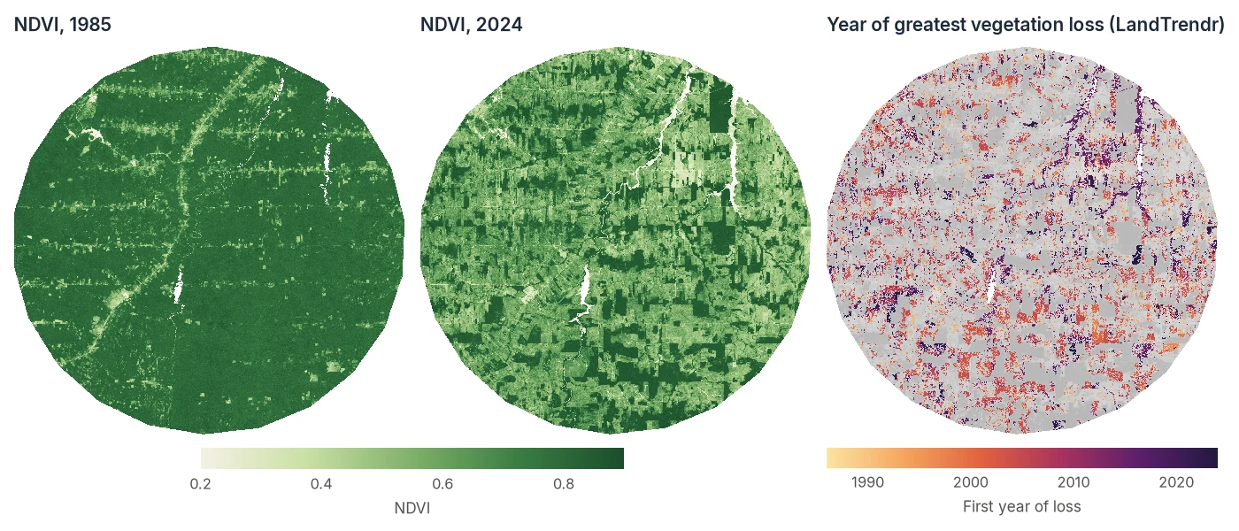 NDVI in 1985 and 2024 over Rondônia, Brazil, and the LandTrendr map of the first year of vegetation loss