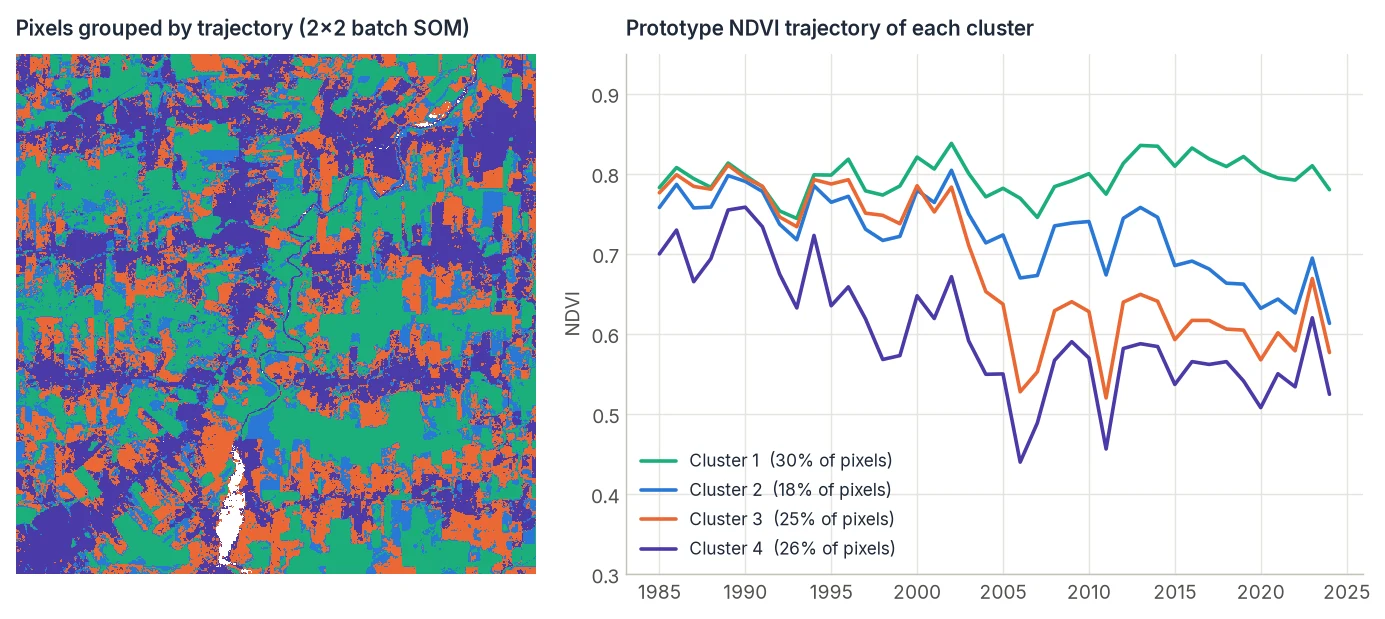 A 2x2 batch SOM of 40-year NDVI trajectories in Rondônia: a cluster map and the four prototype trajectories